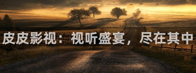 嘘国王在冬眠免费观看完整版星辰影院：皮皮影视：视听盛宴，尽在其中