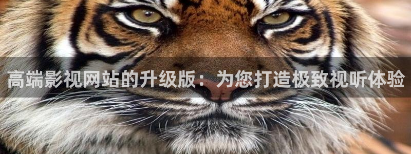锦衣之下免费观看星辰影院：高端影视网站的升级版：为您打造极致视听体验