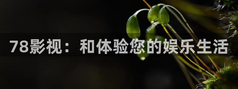 黎明之前星辰影院：78影视：和体验您的娱乐生活