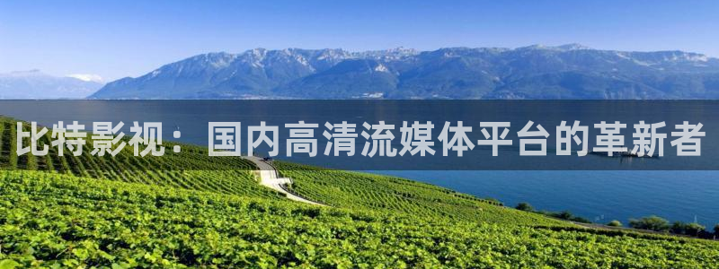 电影在线观看星辰影院：比特影视：国内高清流媒体平台的革新者