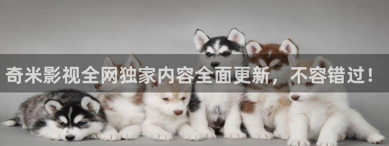 似锦星辰影院：奇米影视全网独家内容全面更新，不容错过！