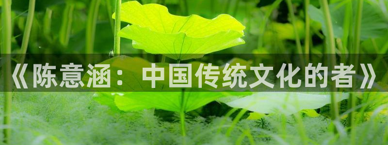 免费电影星辰：《陈意涵：中国传统文化的者》