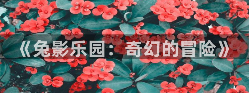 免费电影星辰：《兔影乐园：奇幻的冒险》