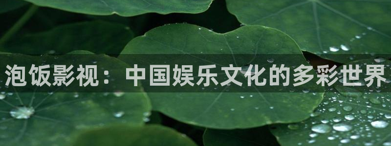 战至巅峰第三季免费观看星辰影院：泡饭影视：中国娱乐文化的多彩世界